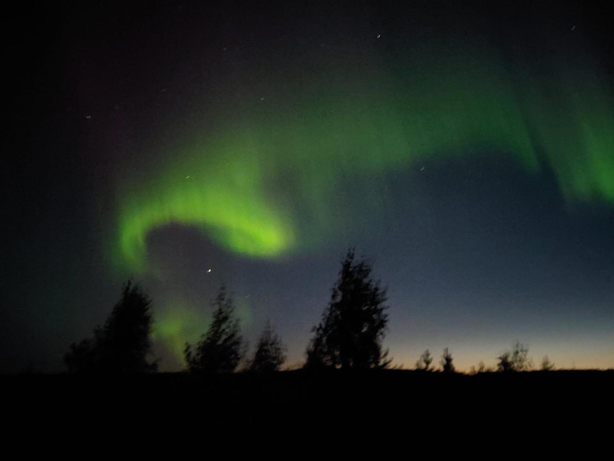 Lapland Forest Lodge Rovaniemi Zewnętrze zdjęcie